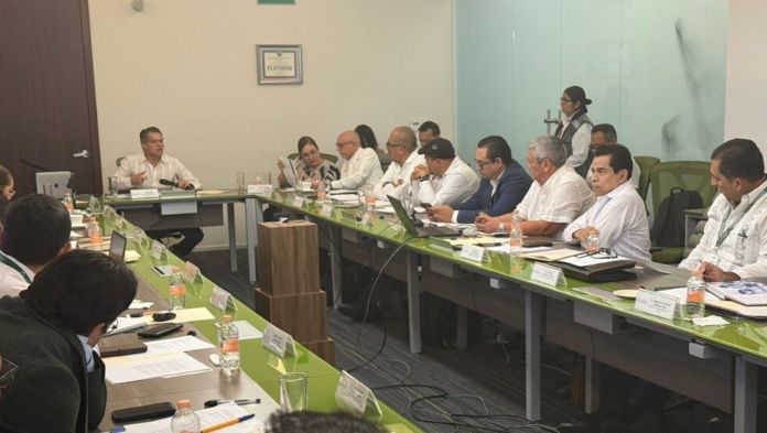 Veracruz presente en la estrategia nacional contra dengue y arbovirosis