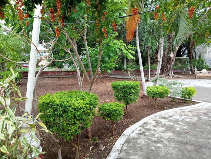 Ayuntamiento de San Andrés Tuxtla mejora imagen urbana en el Fraccionamiento Los Dagames