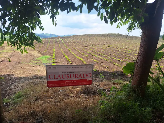 En rescate de manantial clausuran temporalmente el acceso en áreas de cultivo del predio San Simón