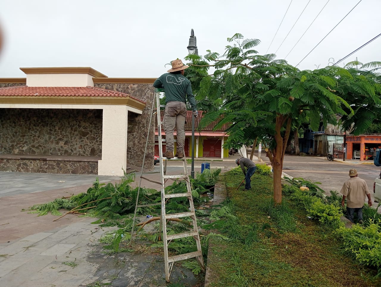 Personal del área de Parques y Jardines realizó labores en el Parque de Tilapan
