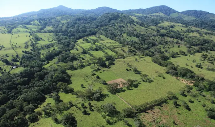 Restauración Ecológica Regional