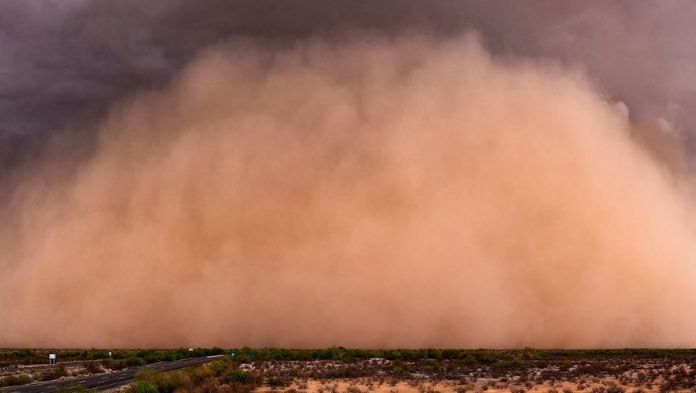Polvo del Sahara llegará a Veracruz en 2025: meteorólogo de Conagua