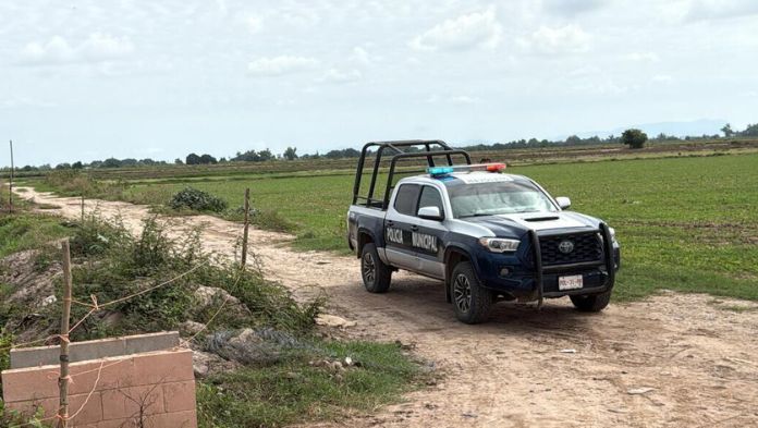 Asesinan a 5 personas en Sinaloa y abaten a 2 civiles armados durante enfrentamiento