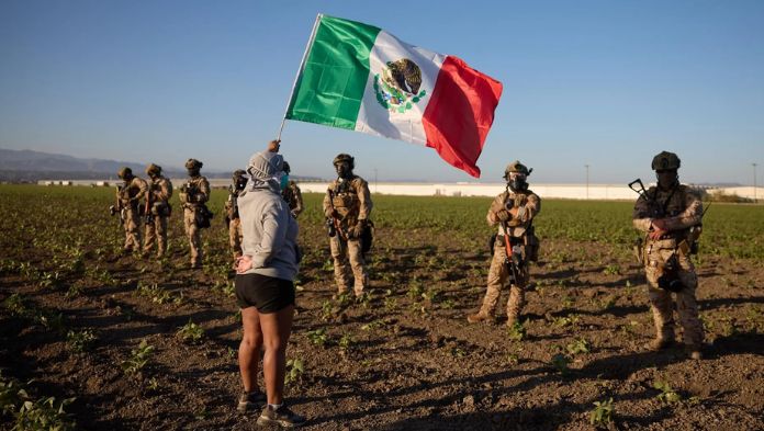 Presidenta Sheinbaum confirma 355 mexicanos detenidos tras redadas en EE.UU.