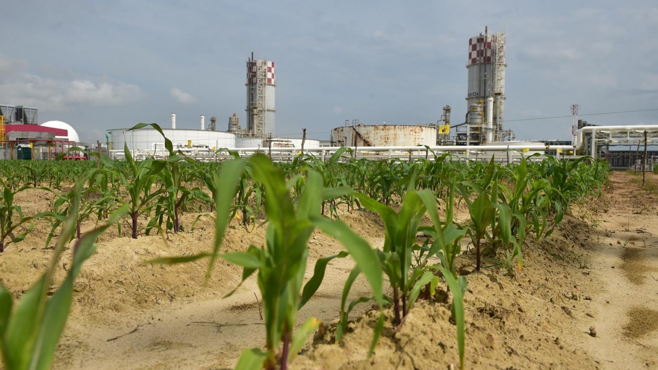 Pemex busca permiso ambiental para nueva planta de fertilizantes en el norte de Veracruz