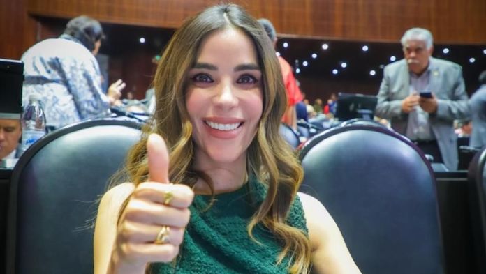 “Para mi fue suficiente”: diputada pide a Tribunal Electoral frenar disculpas públicas de ciudadana tras ocho días