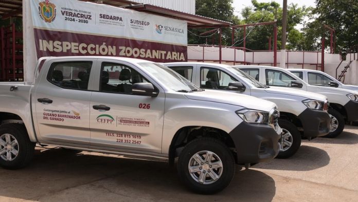 Camionetitas de sanidad animal parte de la estrategia de prevención y combate al gusano barrenador en Veracruz: Rocío Nahle