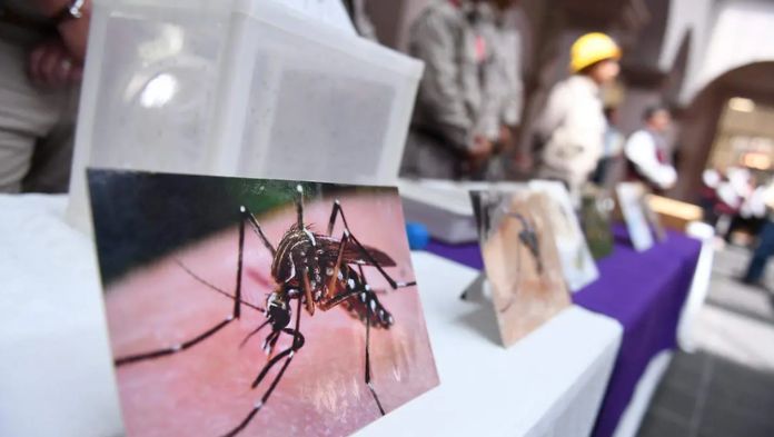Tuxpan, Pánuco, Coatza, Puerto y Xalapa, focos rojos en dengue