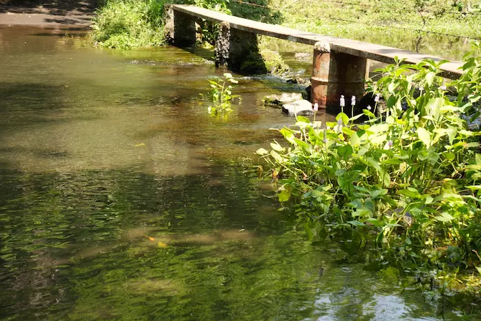 Previene CMAPS a usuarios de San Andrés Tuxtla por interrupción en suministro de agua potable