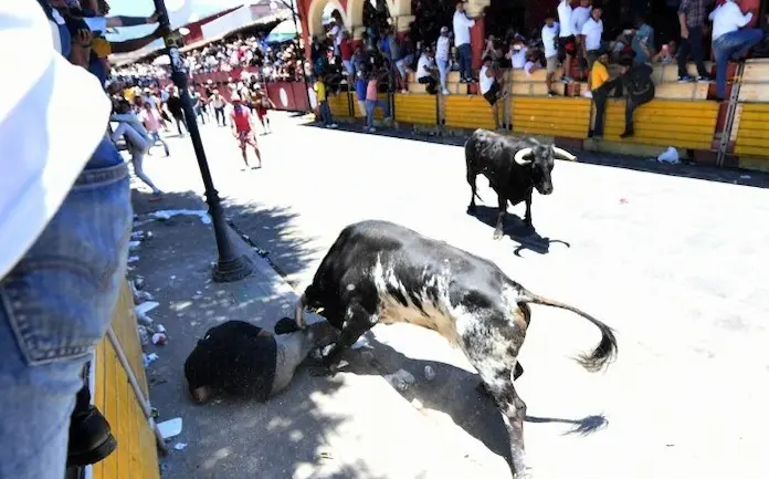 Suelta de toros en fiestas a María Magdalena en Xico deja almenos 11 lesionados