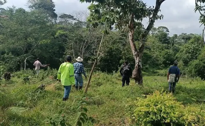 Mueren dos campesinos al ser alcanzados por un rayo en Las Choapas