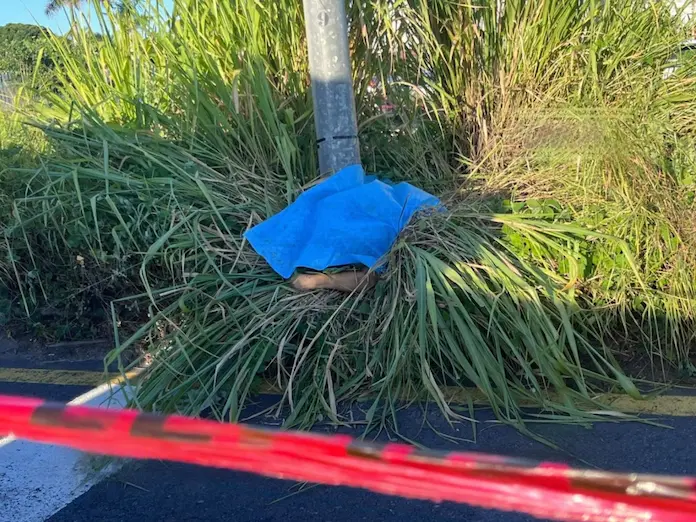 Murió atropellada por una camioneta