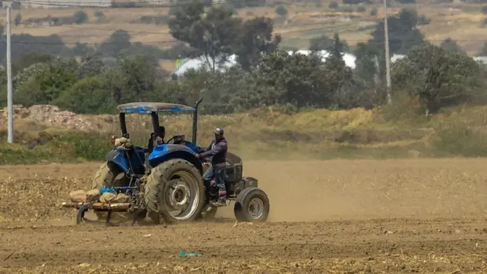 Trabajadoras agrícolas afirman que Trump utilizará al maíz como arma de presión