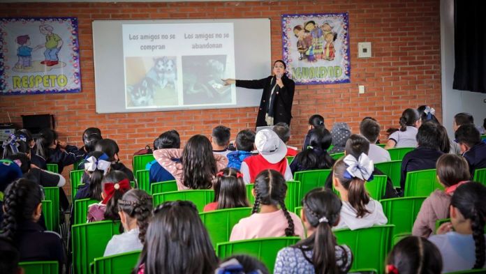 ¿Cuándo regresan a clases los alumnos de primaria?