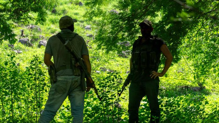 Estos grupos del narco se pelean cárceles del norte de Veracruz
