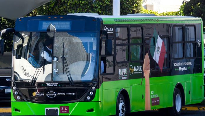 Taruk, el primer autobús eléctrico mexicano, atrae pedidos desde EU: ‘Quieren de 10 a 20 mil’, asegura Ebrard