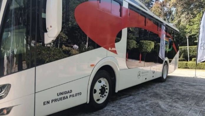 «Nadie tiene la atribución de subir el pasaje”: Nahle por nuevo camión plus en Xalapa
