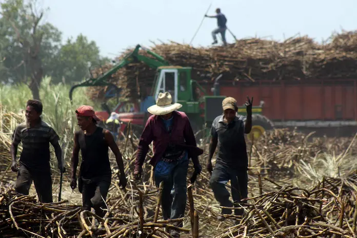 Prohíbe México la importación temporal de azúcar
