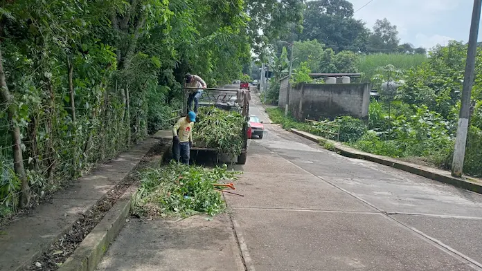 Cuadrilla de Parques y Jardines del Ayuntamiento de San Andrés Tuxtla da mantenimiento en tramo del Boulevard Rafael Carrión Álvarez