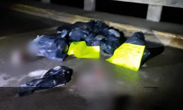 Dejan cuerpos descuartizados en la carretera El Espinal-Coxquihui