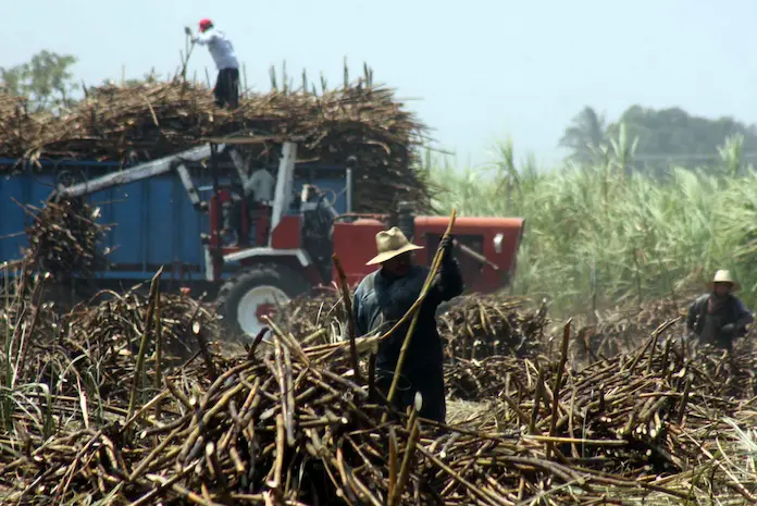 Anuncia Gobierno Federal Plan de Etanol para respaldar a productores cañeros de Veracruz