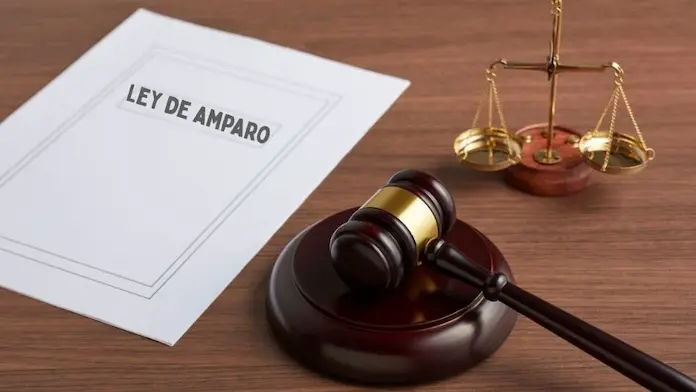 Si Ley de Amparo de Sheinbaum no se corrige, ciudadanos y derechos colectivos serán los más afectados