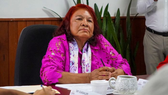 Denunciarían a diputada que propuso llevar café de Veracruz a Marte, por esta razón