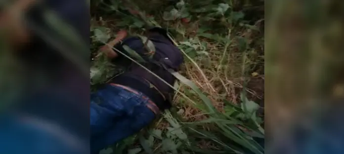 Fallecen padre e hijo al chocar contra un árbol en la carretera Álamo-Emiliano Zapata