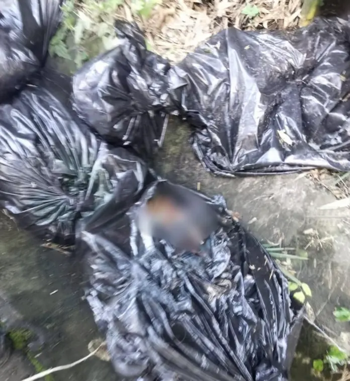 Hallan restos humanos dentro de bolsas, en Córdoba