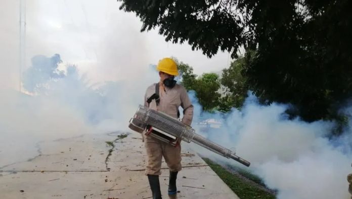 Veracruz se mantiene entre los estados con más casos de dengue