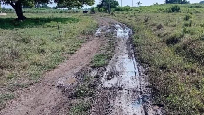 Obras sin terminar dejan daño por 15.1 mdp en caminos rurales de Veracruz