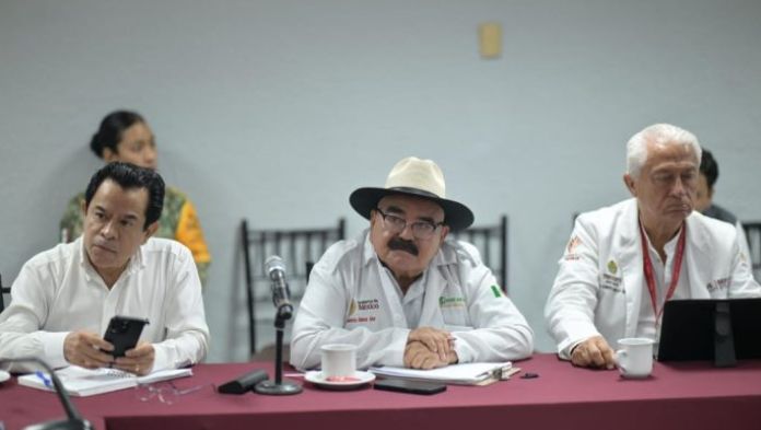 Refuerzan acciones médicas y de saneamiento en el norte de Veracruz tras las inundaciones