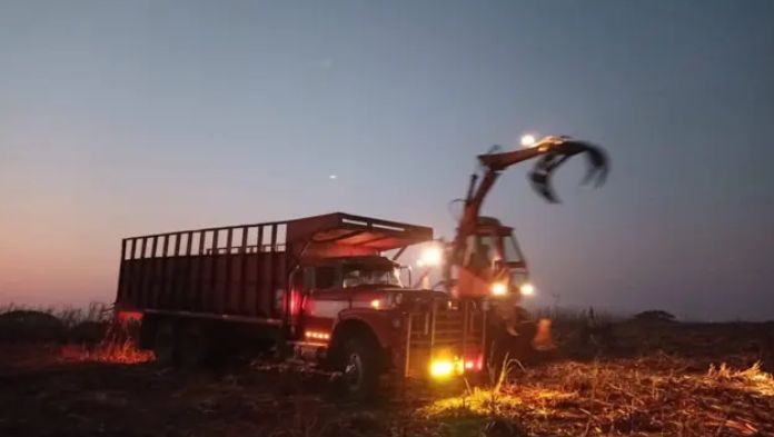 Productores de Veracruz acuerdan el precio de referencia para la próxima zafra