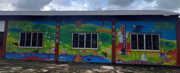 INAUGURACIÓN DEL MURAL COLECTIVO “CUENCA QUE VA AL MAR” EN LA COMUNIDAD DE COXCOAPAN