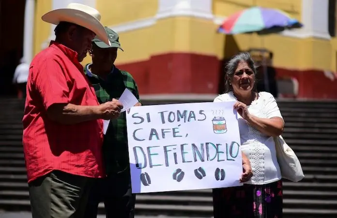 Productores de café piden frenar abuso en precios y aprobar Ley del Café