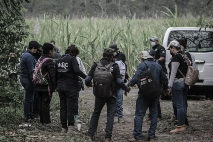 Urgen recursos en los Semefos del estado, la identificación de restos se ve pausada