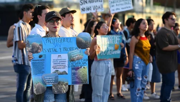 Decisiones políticas asfixian los arrecifes de la bahía de Veracruz puerto: Ambientalistas