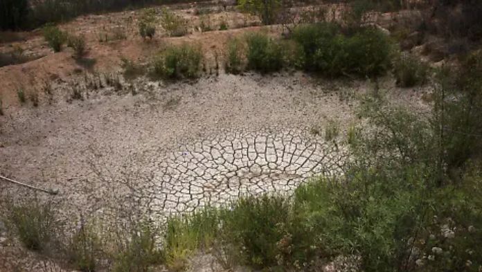 Veracruz, con déficit de lluvia este año reporta la Conagua