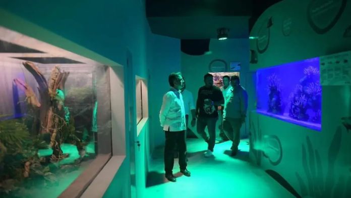 Obras de Cuitláhuac en el Aquarium tenían inconsistencias: Sedema