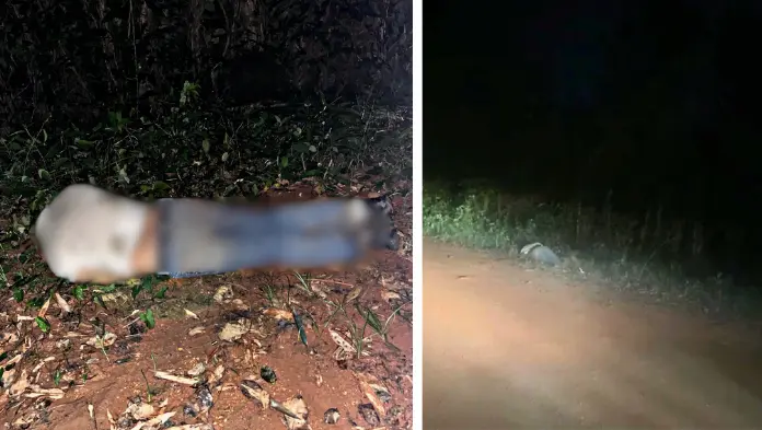 Hallan a hombre ejecutado en camino rural de Soconusco