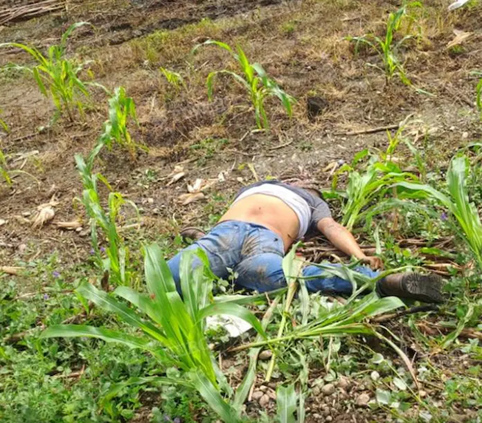 Otro motociclista más pierde la vida en el tramo carretero Cosamaloapan-Tuxtepec