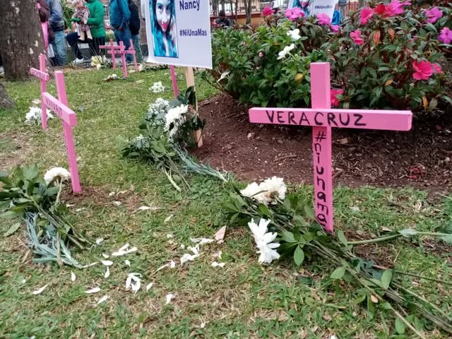 Veracruz cerró 2025 con 73 feminicidios y 753 desapariciones de mujeres: UV