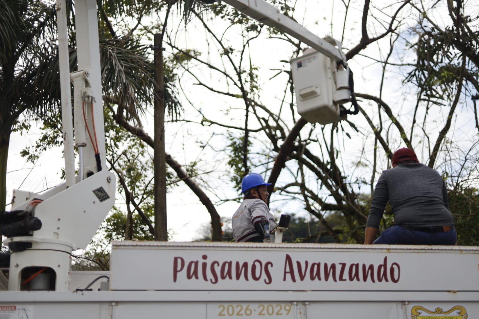 Dirección de Alumbrado Público de Santiago Tuxtla realiza trabajos de poda de ramas