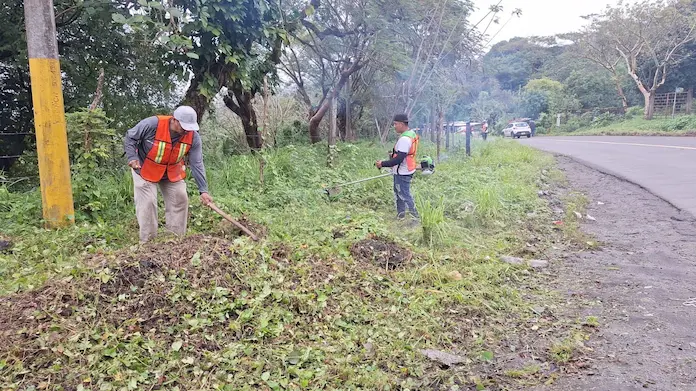 Dirección de Limpia Pública de Santiago Tuxtla realiza trabajos de limpieza y embellecimiento en un tramo de la carretera