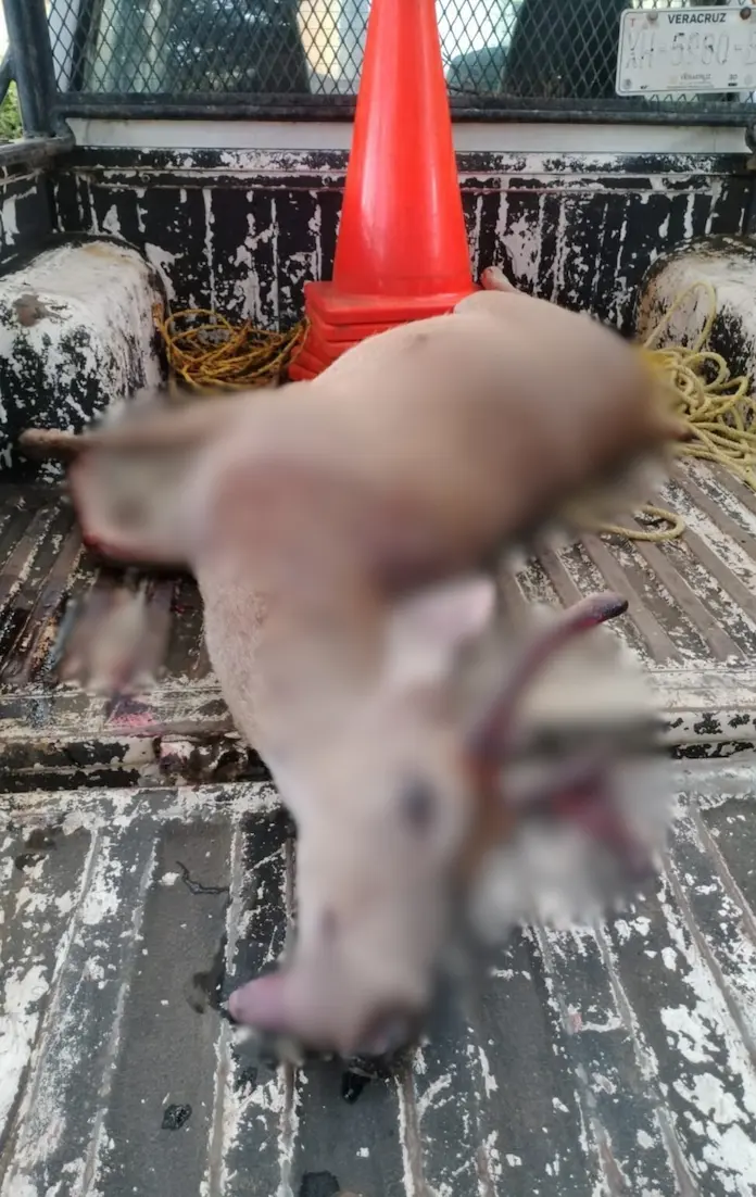 Información relevante ocurrida este 18 de marzo en Catemaco, que nos invita a reflexionar como comunidad