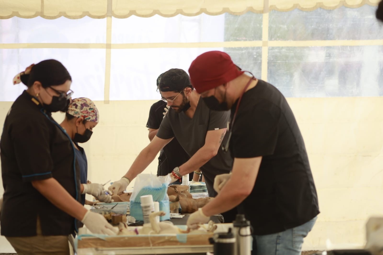 Realiza el H. Ayuntamiento de Santiago Tuxtla Primera Campaña de Esterilización