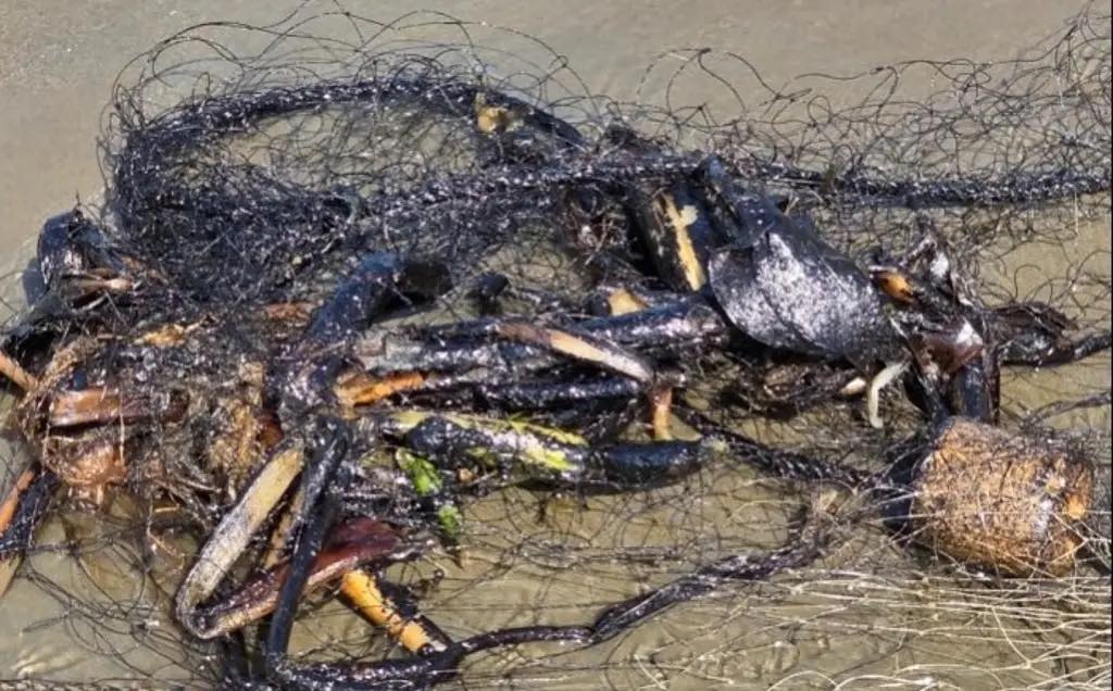 Derrame de hidrocarburo se extiende y llega hasta playas de Catemaco