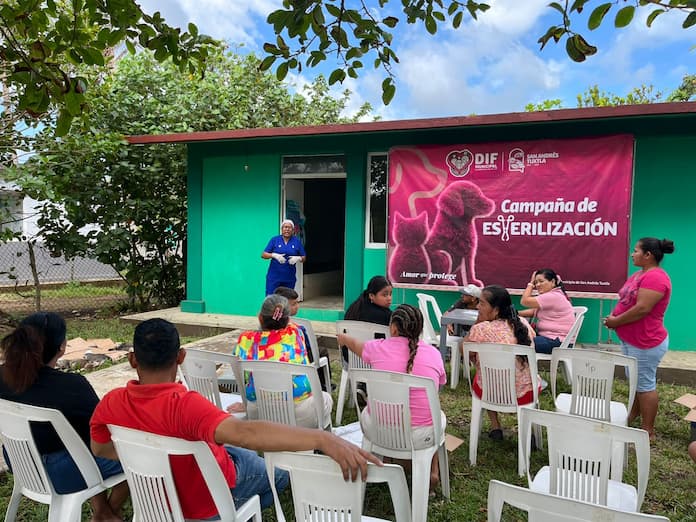 Jornada de esterilización en la localidad de Arroyo de Lisa