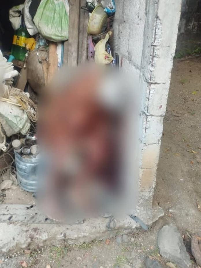 656420285_1579460127522113_2107727210553888905_n