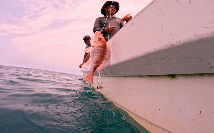 ‪Comunidades costeras promueven pesquerías responsables y sostenibles